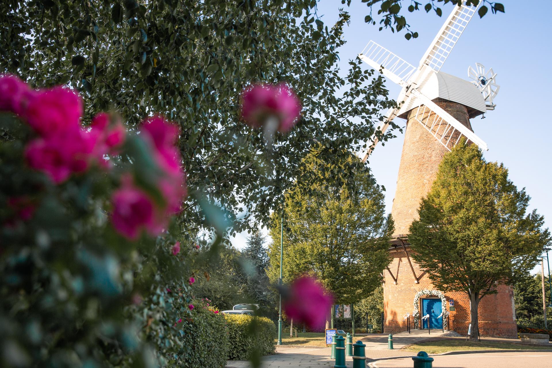 Windmill external with pink flowers